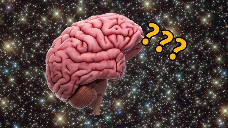 دراسة تكشف تغير شكل دماغ رواد الفضاء بعد الرحلات الطويلة