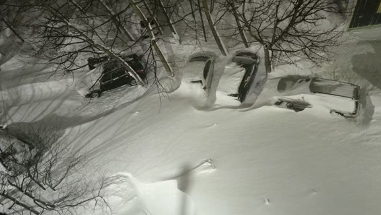 جزيرة كامتشاتكا