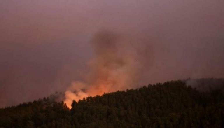 حرائق الغابات في تشيلي