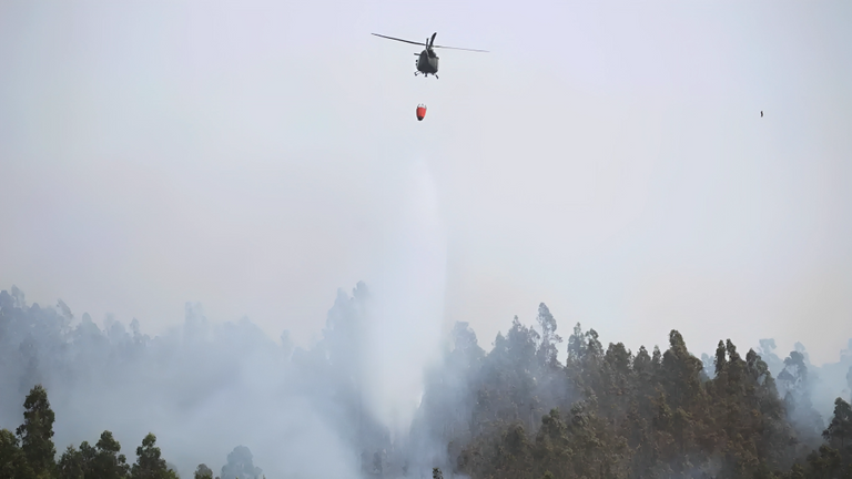 حرائق الغابات في تشيلي