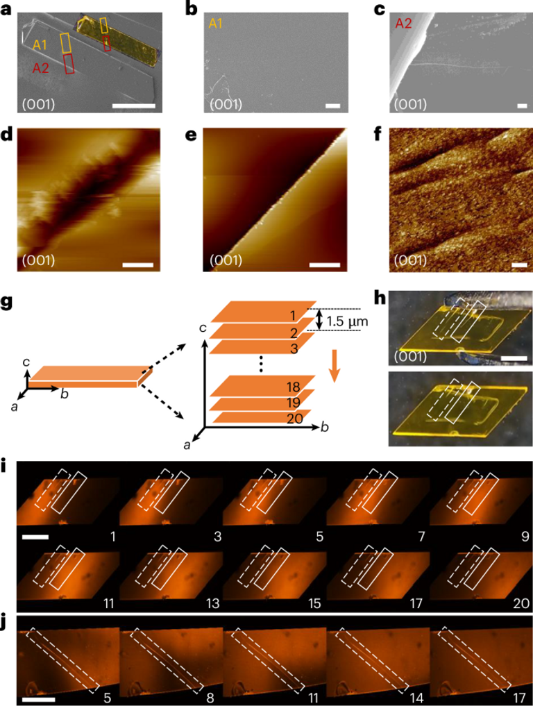 انتاج المادة الذكية تم تحت إشراف البروفيسور بانتشي ناوموف