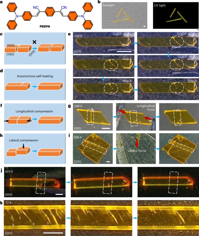 انتاج المادة الذكية تم تحت إشراف البروفيسور بانتشي ناوموف