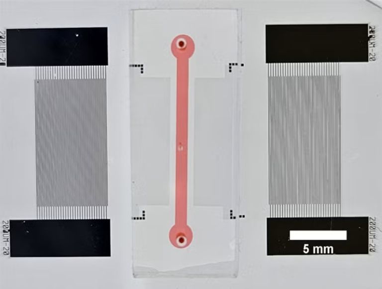 جهاز صغير لقياس جودة خلايا الدم الحمراء بعد أسابيع من التخزين.