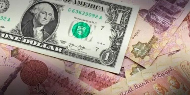 تحديث سعر الدولار الآن في البنك الأهلي المصري مقابل الجنيه البنك الأهلي المصري