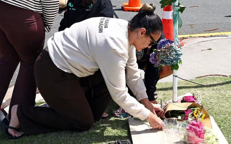 تعليق انتشال ضحايا انهيار أرضي بنيوزيلندا