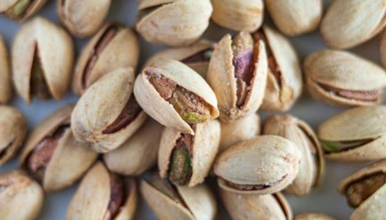  مزارعو الفستق يعانون من تشقق قشوره قبل الحصاد