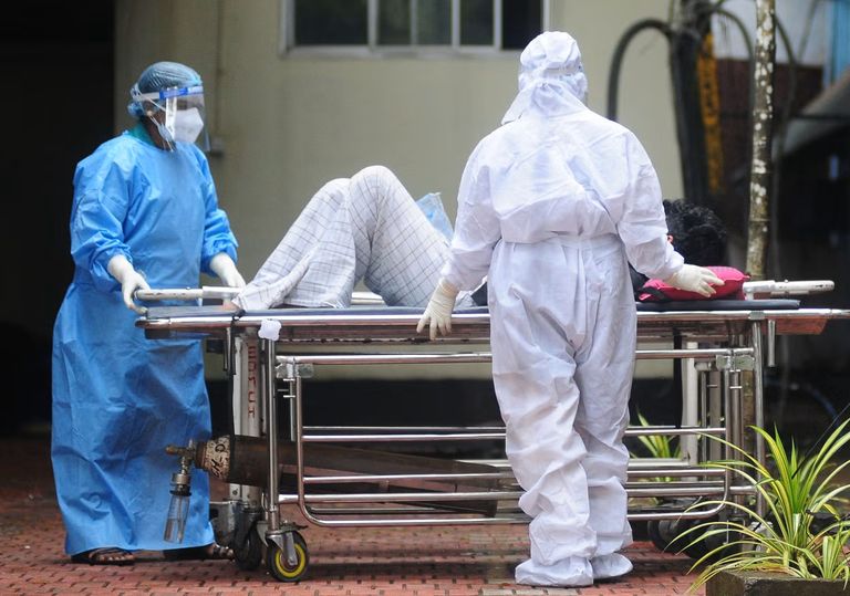 فيروس نيباه غالبا ما ينتقل من الخفافيش إلى الإنسان