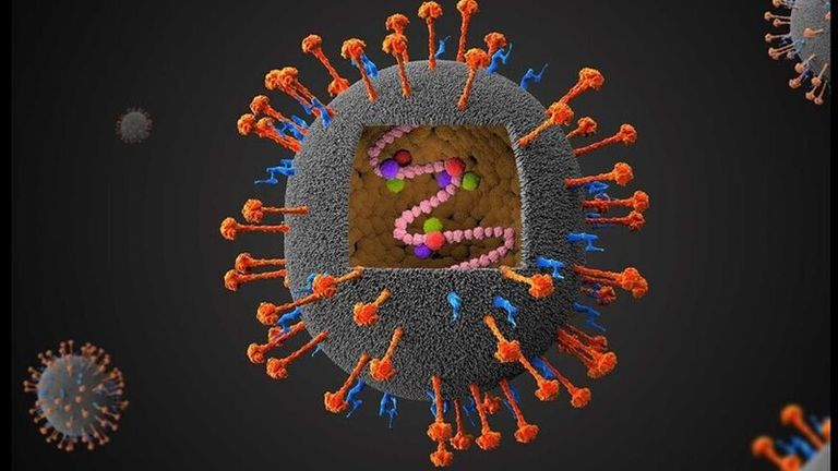 فيروس نيباه 