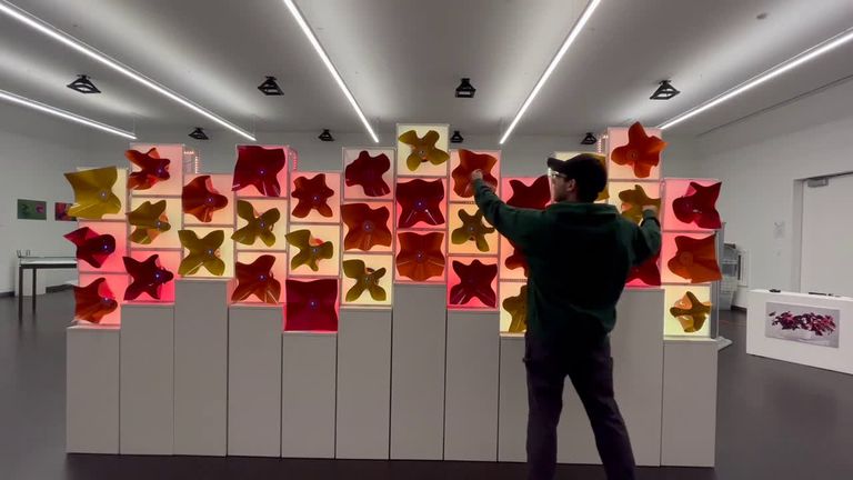 روبوتات صغيرة "حية" تتحرك وتتفاعل مع البشر