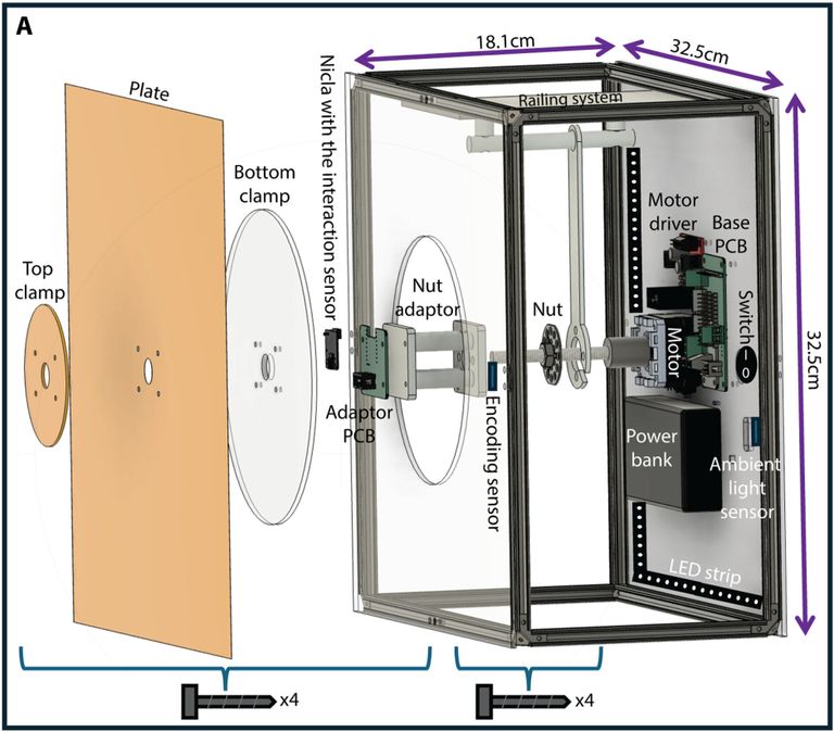 روبوتات صغيرة "حية" تتحرك وتتفاعل مع البشر
