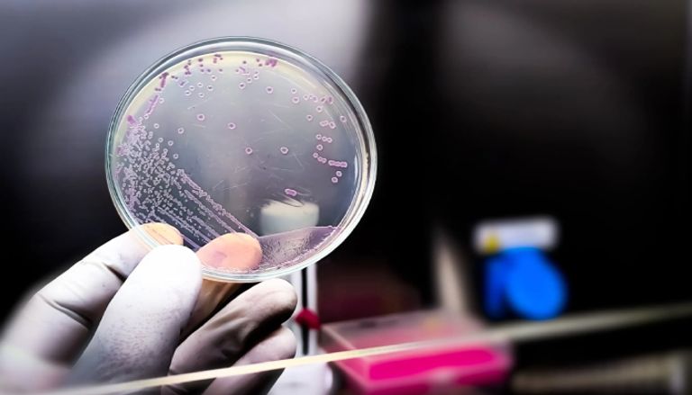 الذكاء الاصطناعي ينجح في تصنيع فيروس جديد