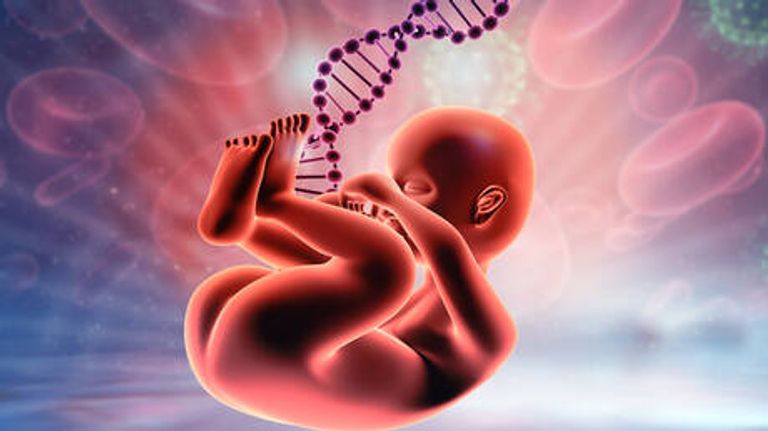 الرحم الاصطناعي يفتح أبواب الجدل العلمي والأخلاقي والسياسي