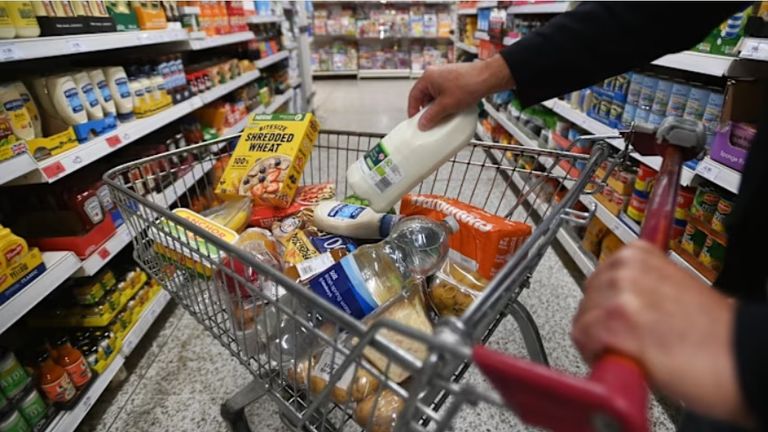 متاجر التجزئة