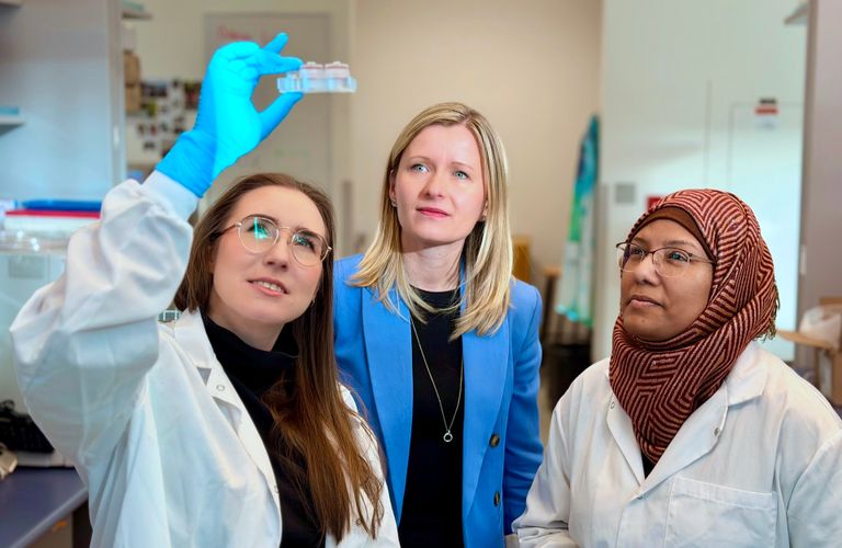 الباحثون القائمون على أول علاج جيني لمشاكل الجلد