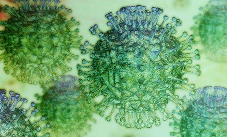 تحذيرات من احتمال أن يصبح فيروسي إنفلونزا D "دي" وكورونا الكلبي مصدر تهديد جديد