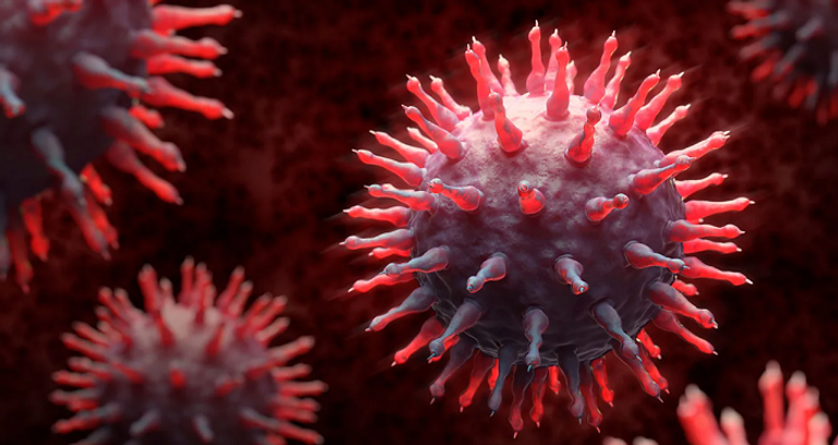 تحذيرات من احتمال أن يصبح فيروسي إنفلونزا D "دي" وكورونا الكلبي مصدر تهديد جديد