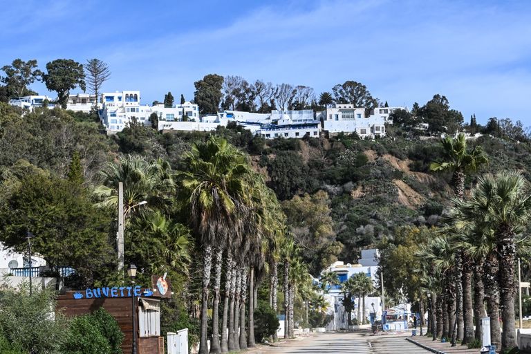 قرية سيدي بوسعيد - أ ف ب