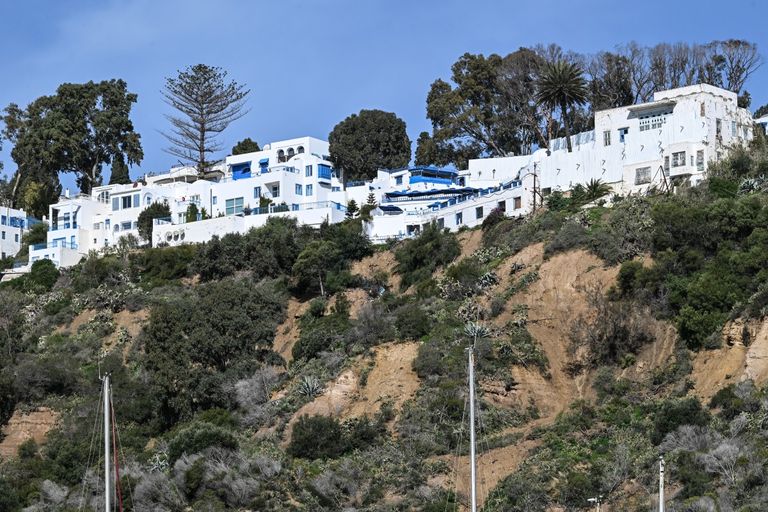 قرية سيدي بوسعيد - أ ف ب