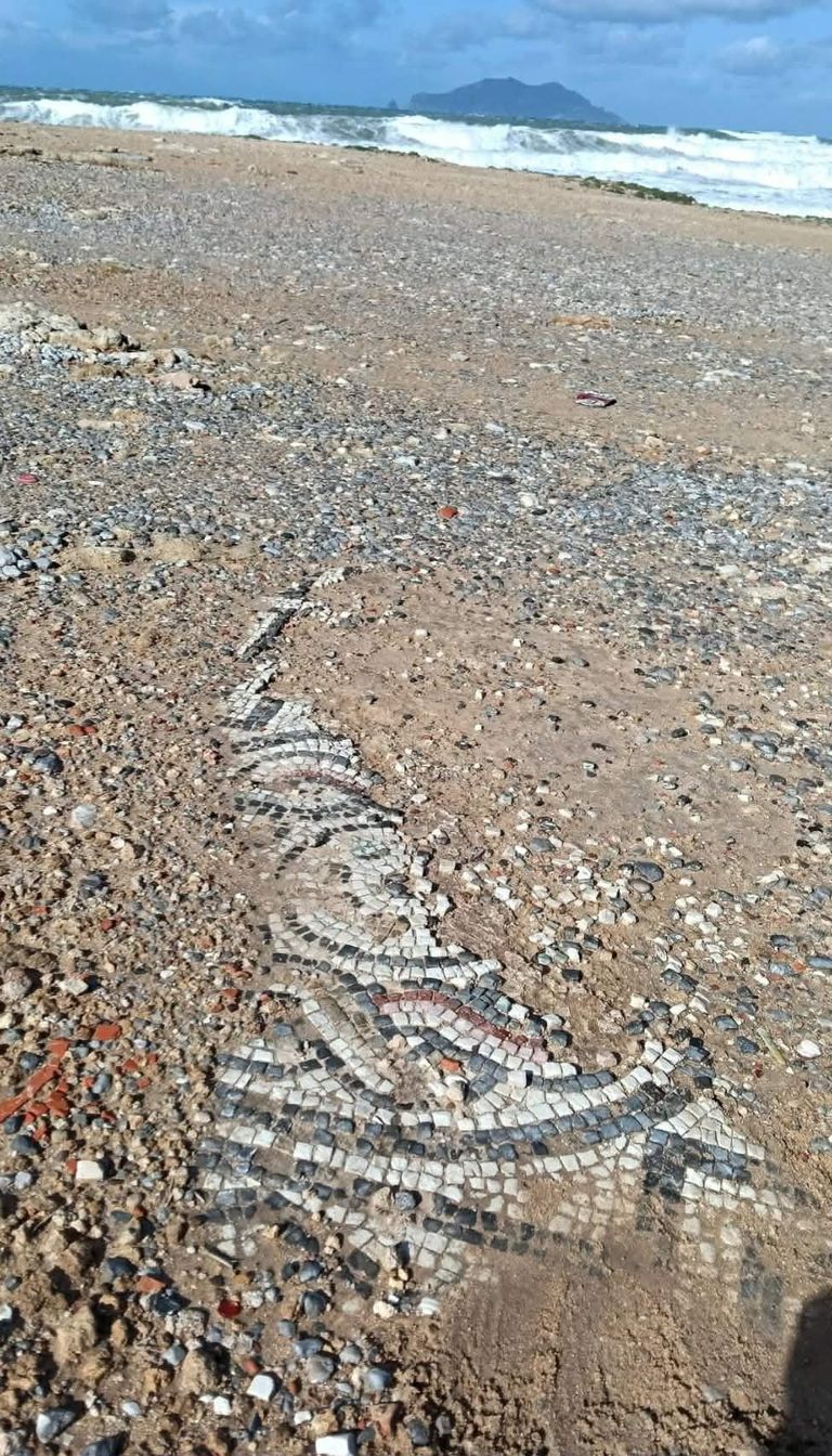 اكتشاف فسيفساء في الموقع الأثري "مسيوا"