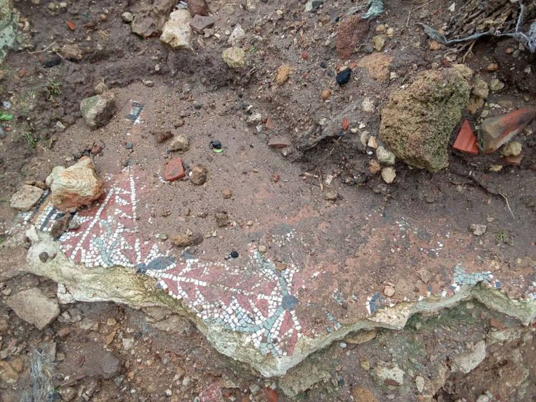 اكتشاف فسيفساء في الموقع الأثري "مسيوا"