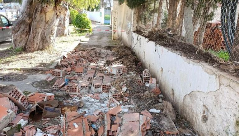 سقوط أشجار في تونس بسبب الرياح