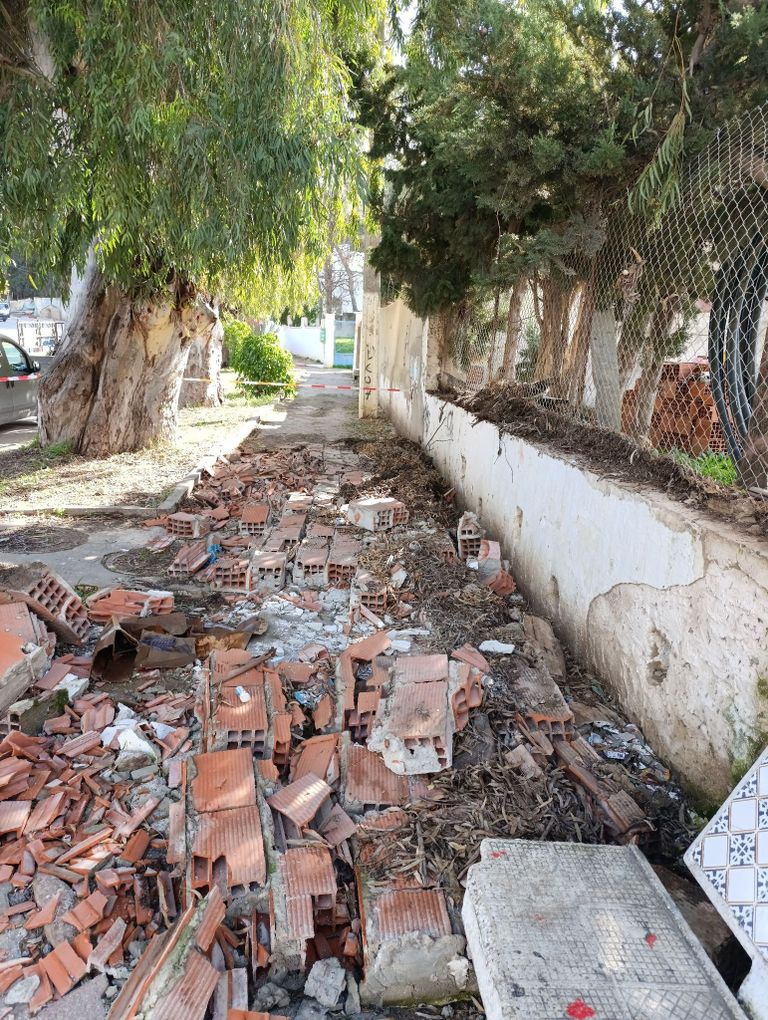 سقوط أشجار في تونس بسبب الرياح