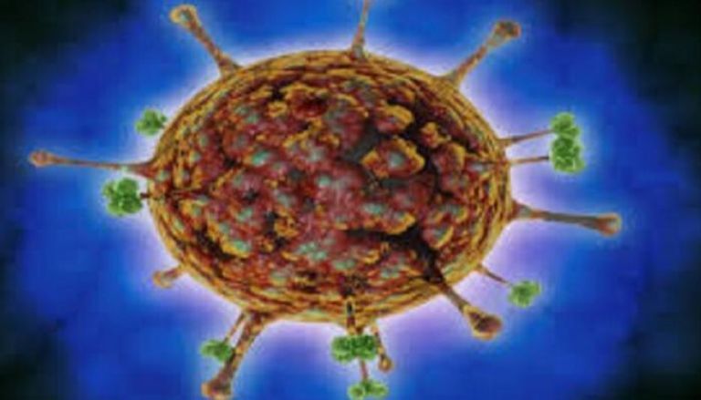 فيروس نيباه