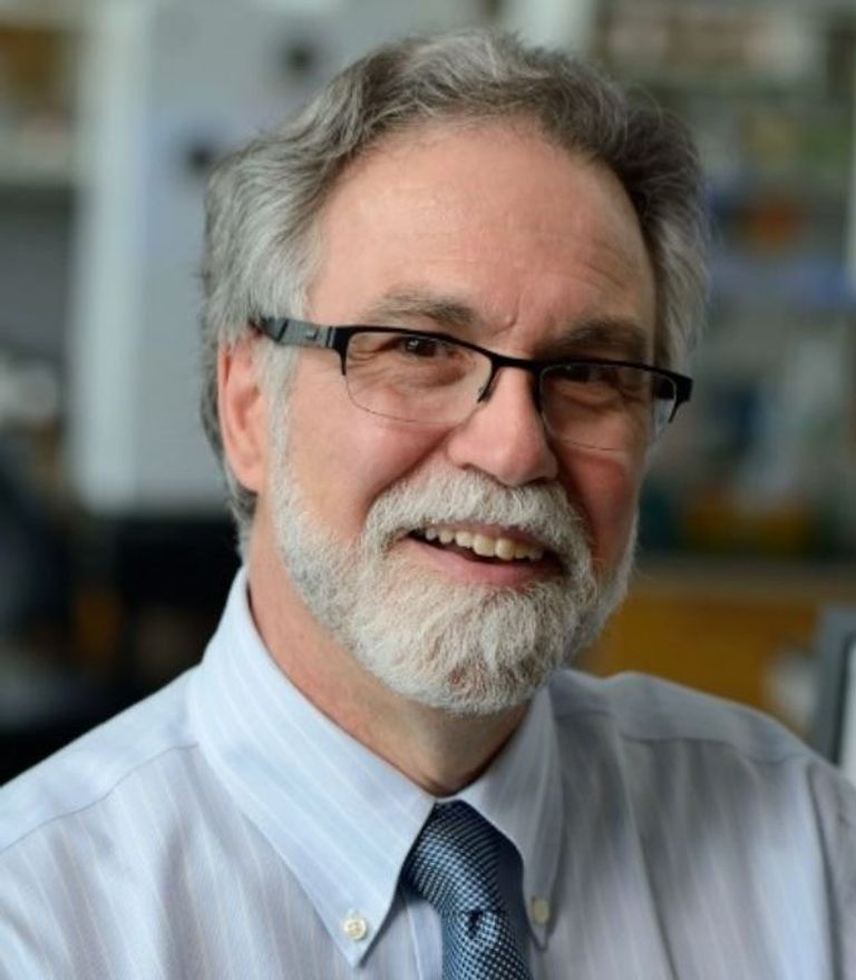 القمة العالمية للحكومات