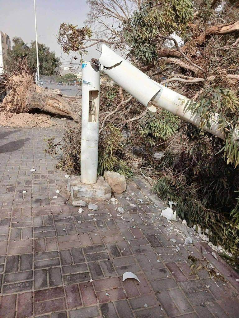 العواصف الشديدة تسببت في سقوط أشجار