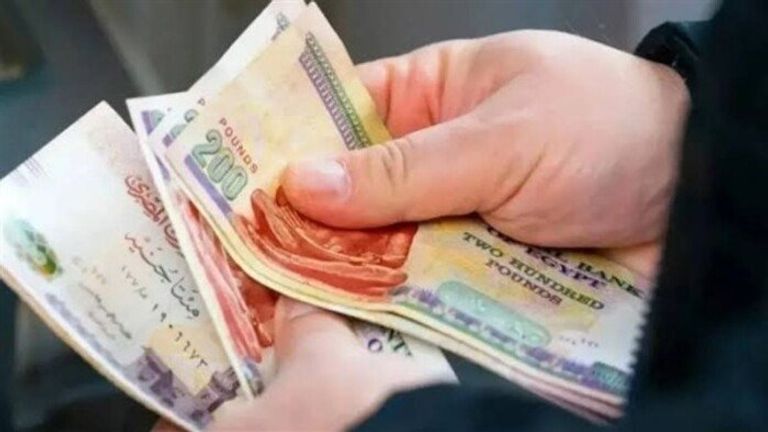 سعر الدولار اليوم في مصر الأحد 8 فبراير 2026.. استقرار الجنيه - صورة 1