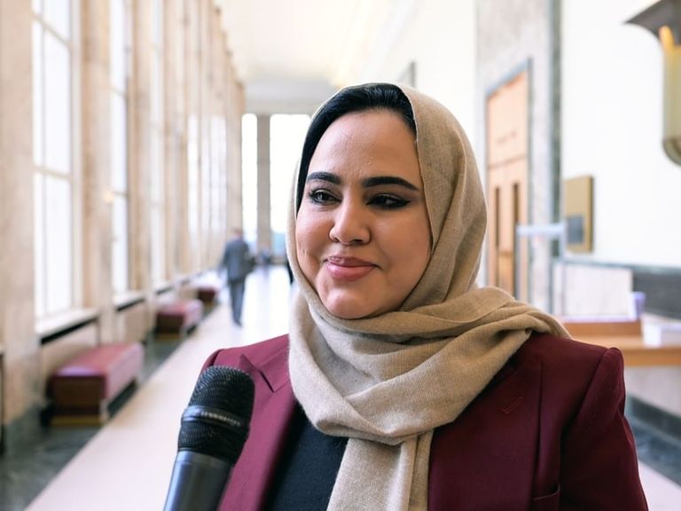 العليا للأخوة الإنسانية: أهمية تعزيز الجهود الدولية لنشر قيم السلام - صورة 1