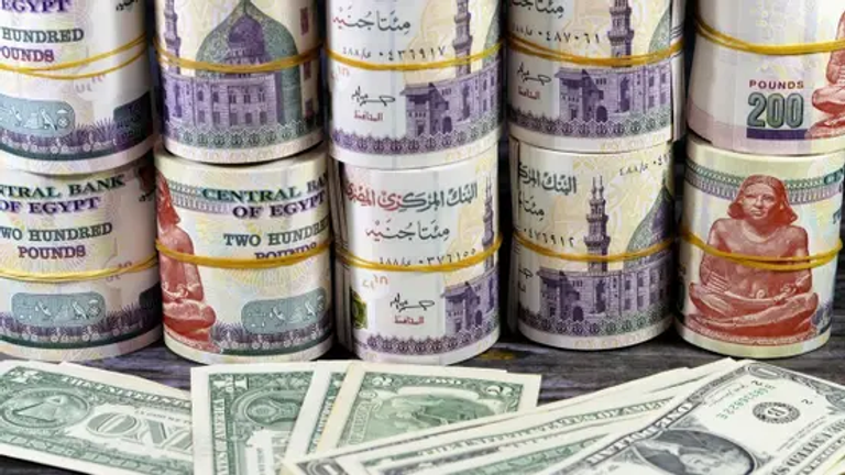 سعر الدولار الأمريكي في البنك المركزي المصري سعر الدولار اليوم في مصر الأحد 15 فبراير 2026.. تراجع جديد - صورة 1