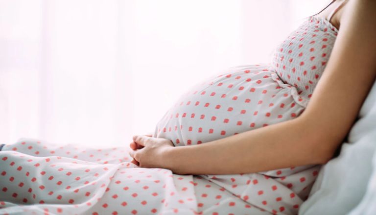 دراسة.. ارتفاع درجات الحرارة يزيد من فرص ولادة الإناث مقارنة بالذكور - صورة 1