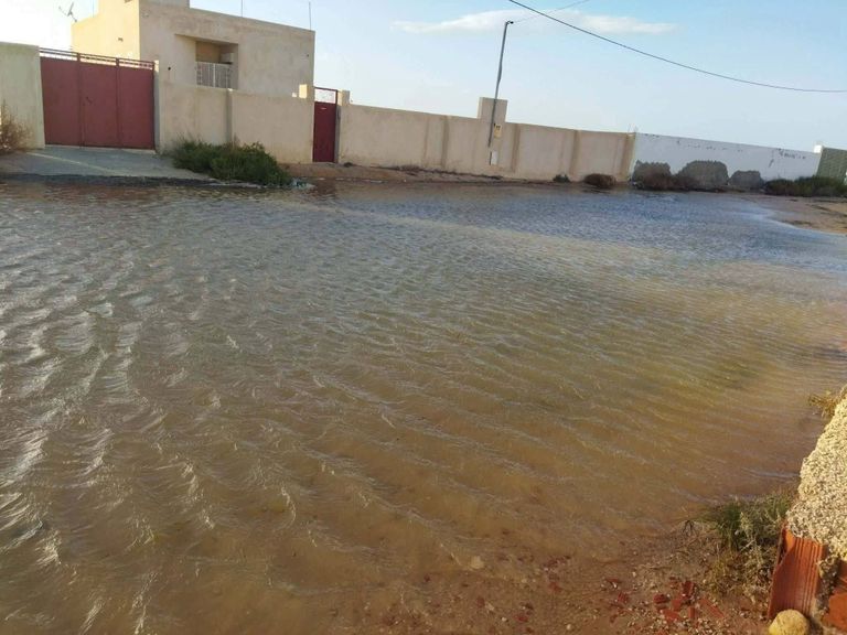 تحذير من التغيرات المناخية.. زحف البحر يكتسح أراضي جزيرة قرقنة التونسية - صورة 1