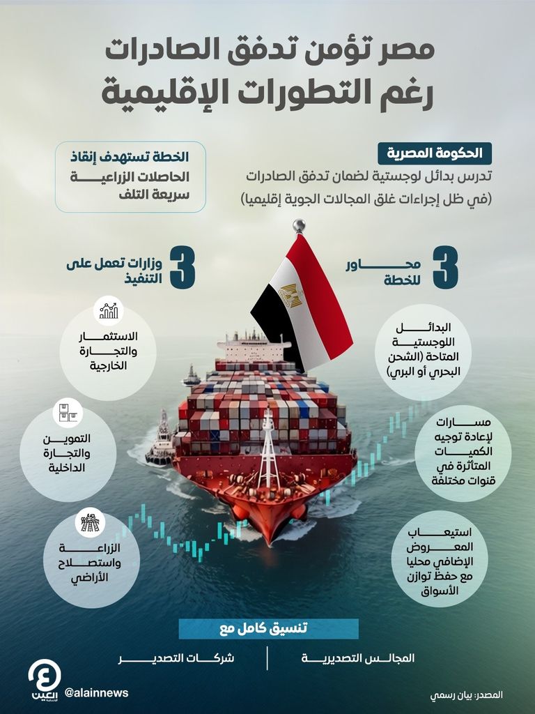مصر تدرس بدائل لوجستية لتفادي تأثير غلق المجال الجوي إقليميا على صادراتها - صورة 1