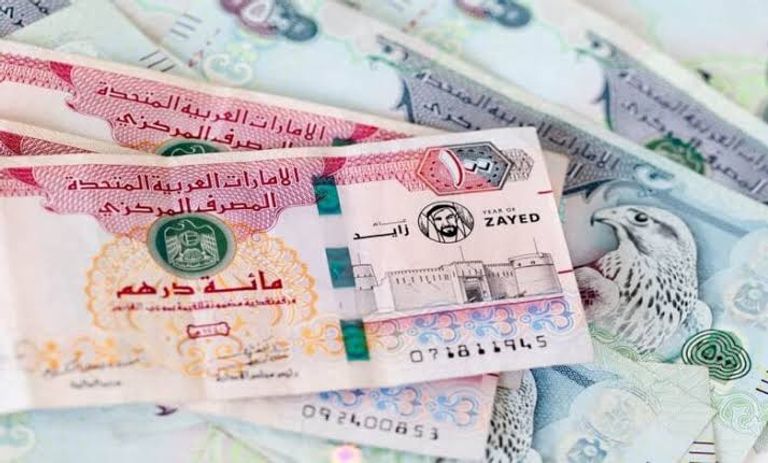 سعر الدرهم الإماراتي في مصر اليوم.. حالة من الاستقرار - صورة 1