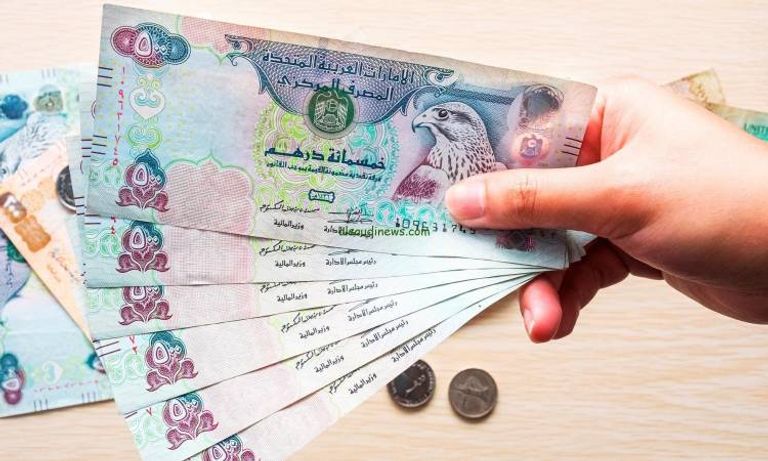سعر الدرهم الإماراتي في مصر اليوم.. حالة من الاستقرار - صورة 2