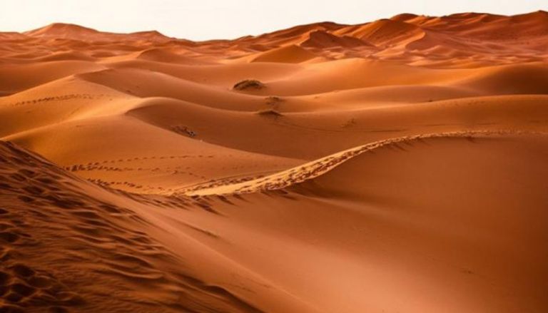 غبار الصحراء يفاقم التلوث في شمال فرنسا - صورة 3