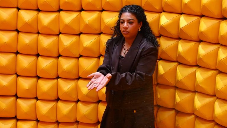 دنيا سامي في &laquo;رامز ليفل الوحش&raquo;: لم أغضب من مصطفى غريب - صورة 1
