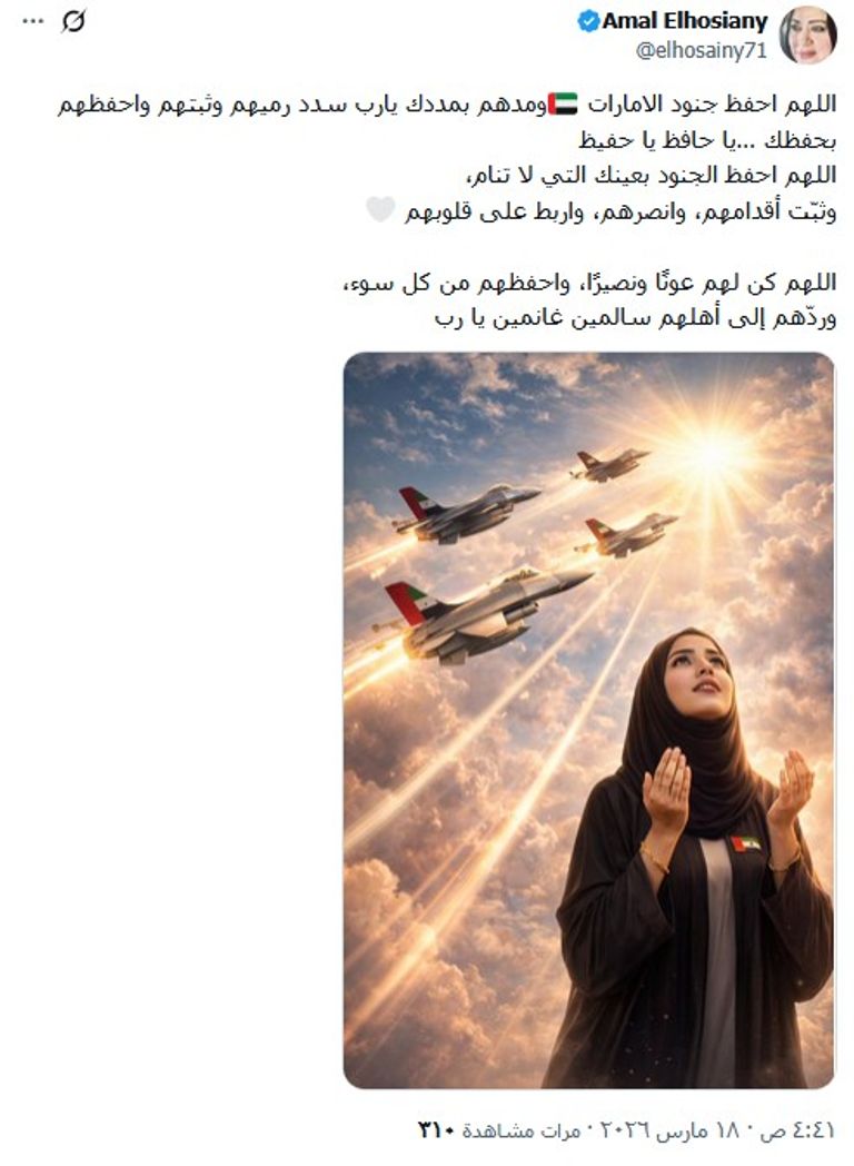 &laquo;لا تشيلون هم&raquo;.. رسالة المقيمين إلى أهل الإمارات تعكس التماسك المجتمعي - صورة 4