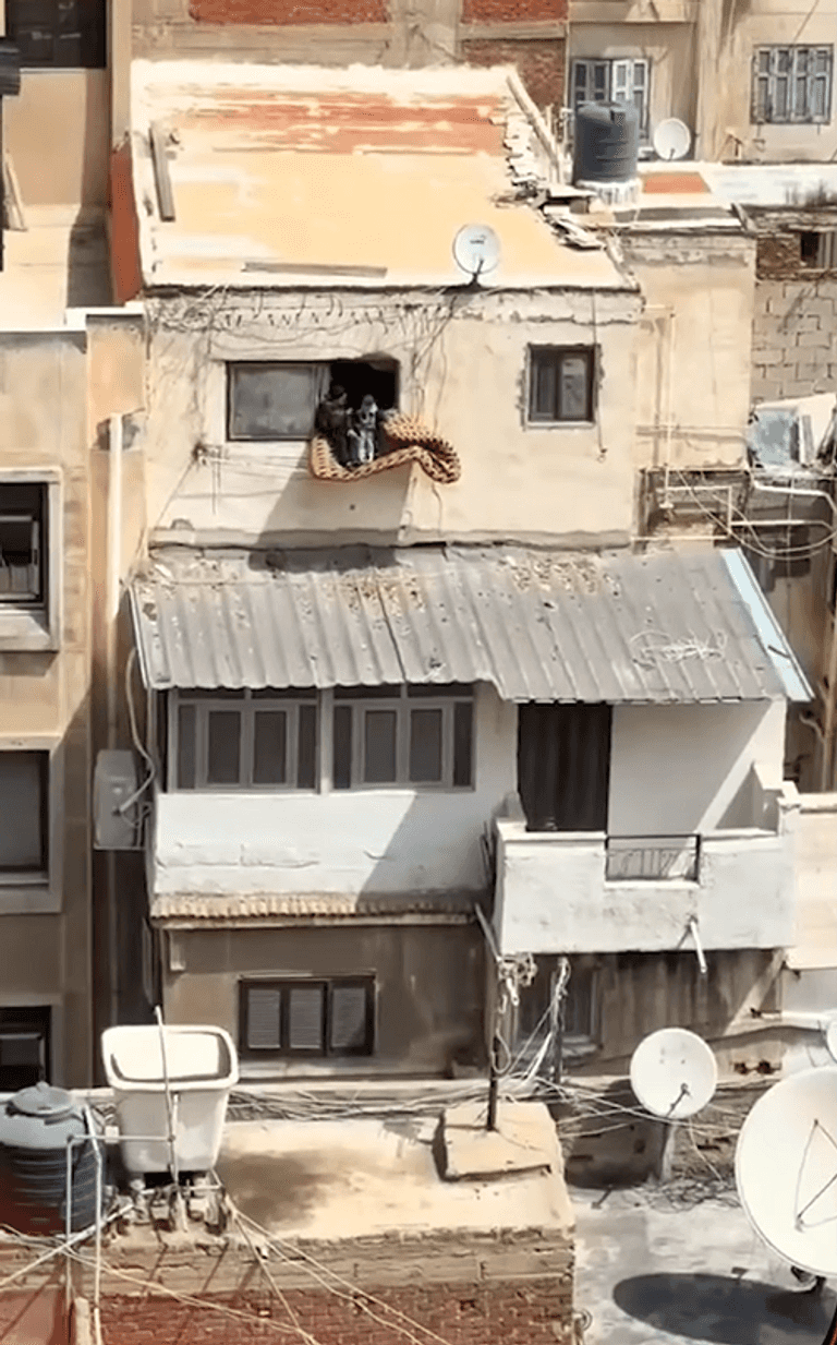 &laquo;لعبة الموت&raquo; فوق مرتبة.. فيديو مرعب لأطفال في شرفة طابق مرتفع - صورة 1