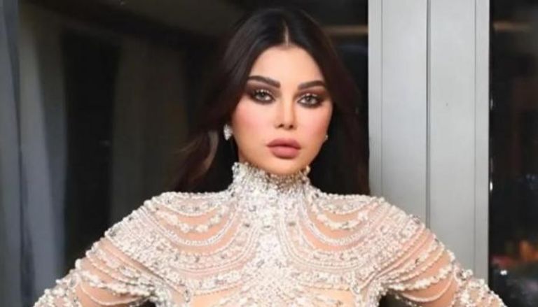 تطورات جديدة في أزمة هيفاء وهبي.. ومحاميها يكشف مفاجآت أمام المحكمة - صورة 1
