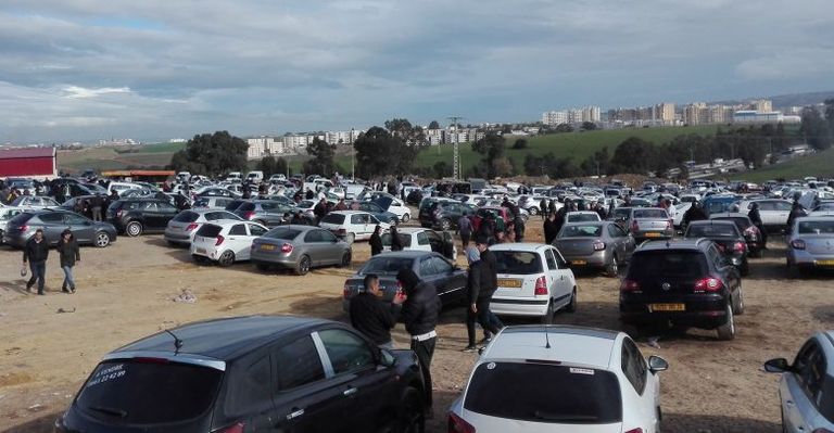 البطاقة الرمادية في الجزائر.. تفاصيل نظام الترخيص الجديد - صورة 2