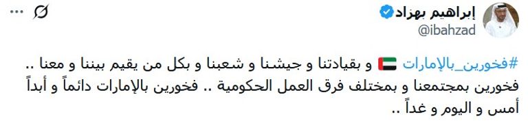 «فخورون بالإمارات».. «راية الاتحاد» تحلق في سماء المجد - صورة 3