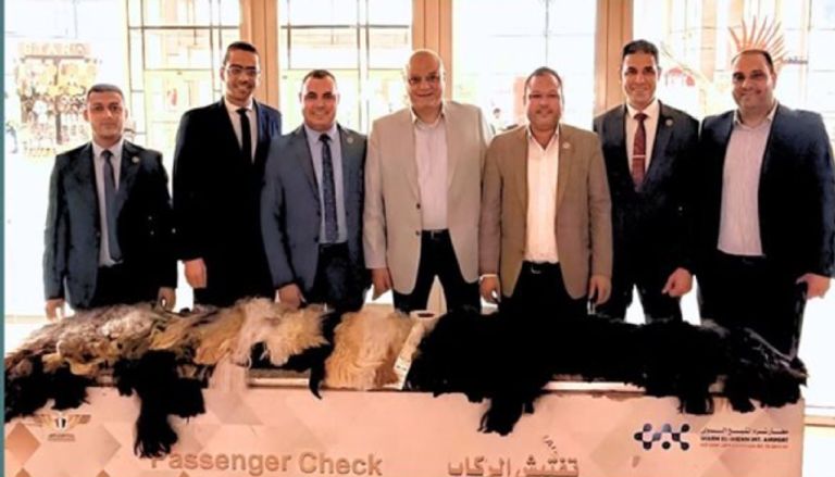 مصر.. إحباط تهريب 38 كيلو من الشعر الطبيعي بمطار شرم الشيخ - صورة 1