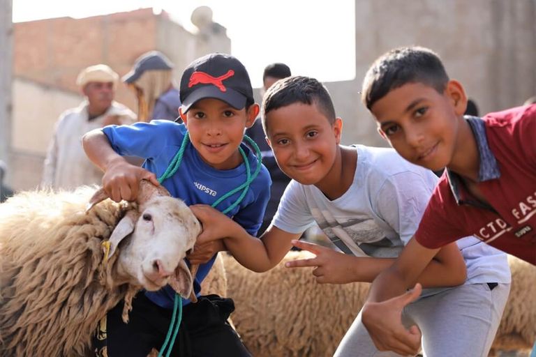 أخطاء شائعة في عيد الأضحى: الدليل الشامل لتجنب محظورات الذبح والصلاة - صورة 1