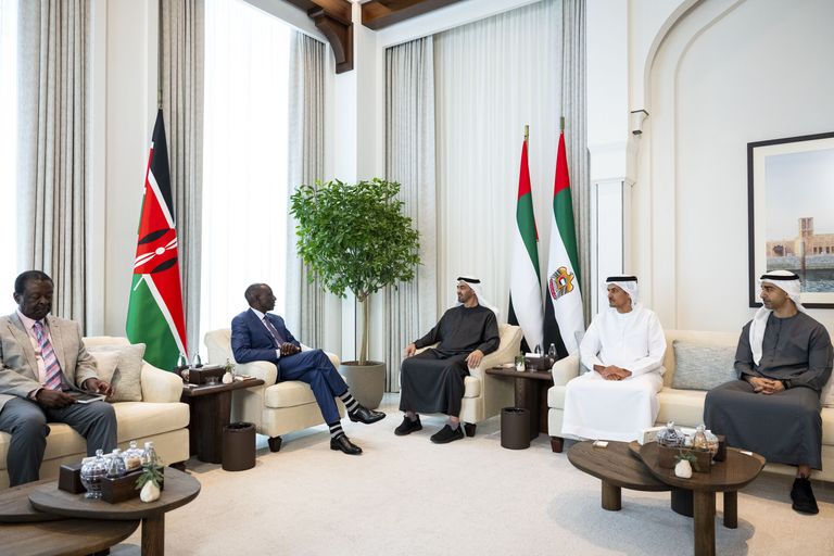 محمد بن زايد يبحث مع رئيس كينيا تعزيز التعاون في المجالات التنموية - صورة 4