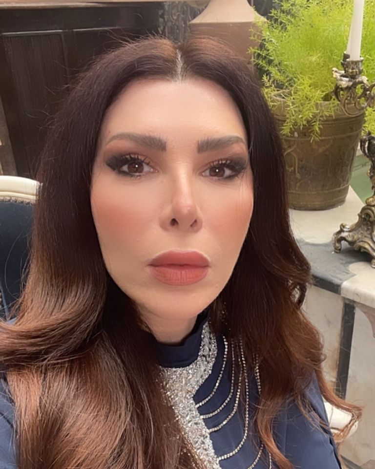 اكتئاب ومنع من العمل.. تفاصيل صعبة من حياة عبير شمس الدين - صورة 1