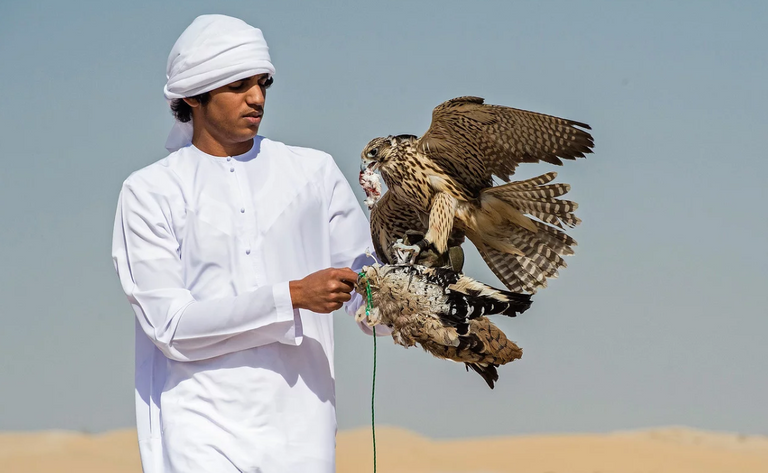 رسالة الإمارات للعالم في «يوم الأرض»: لا مستحيل أمام استعادة كوكبنا - صورة 2