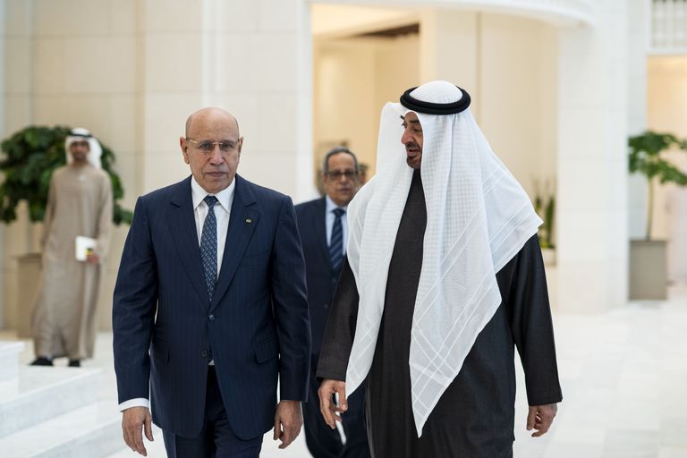 محمد بن زايد يبحث مع الرئيس الموريتاني التطورات الإقليمية - صورة 1